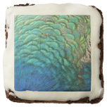 Peacock Feathers I Colorful Abstract Nature Design Brownie