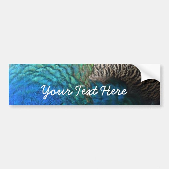 Peacock Feathers I Colorful Abstract Nature Design Bumper Sticker (Front)