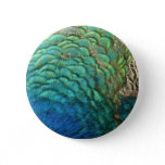 Peacock Feathers I Colorful Abstract Nature Design Button