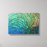 Peacock Feathers I Colorful Abstract Nature Design Canvas Print