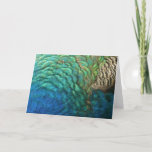 Peacock Feathers I Colorful Abstract Nature Design Card