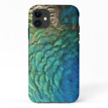 Peacock Feathers I Colorful Abstract Nature Design iPhone 11 Case