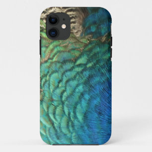 Peacock Feathers I Colorful Abstract Nature Design iPhone 11 Case