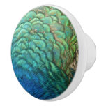 Peacock Feathers I Colorful Abstract Nature Design Ceramic Knob