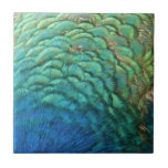 Peacock Feathers I Colorful Abstract Nature Design Ceramic Tile
