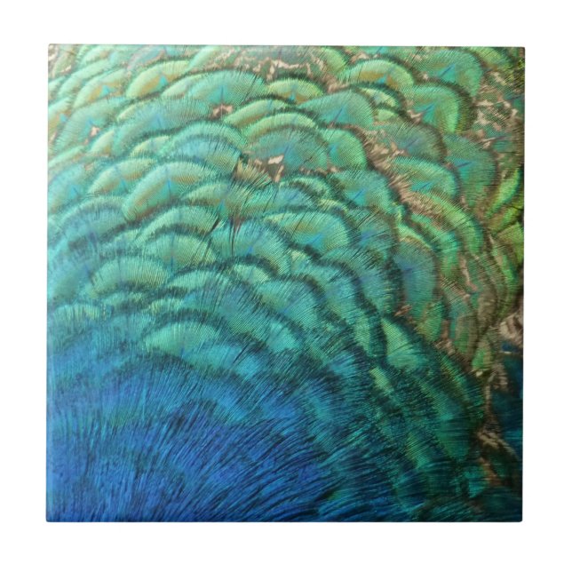 Peacock Feathers I Colorful Abstract Nature Design Ceramic Tile (Front)