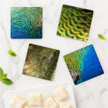 Peacock Feathers I Colorful Abstract Nature Design Coaster Set