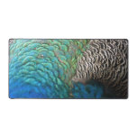 Peacock Feathers I Colorful Abstract Nature Design Desk Mat