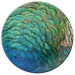 Peacock Feathers I Colorful Abstract Nature Design Dinner Plate