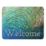 Peacock Feathers I Colorful Abstract Nature Design Door Sign