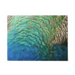Peacock Feathers I Colorful Abstract Nature Design Doormat