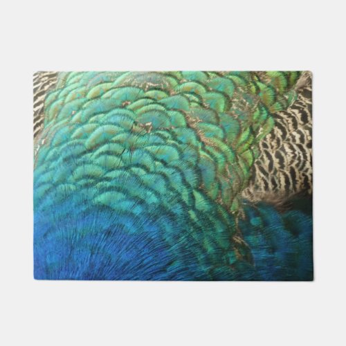 Peacock Feathers I Colorful Abstract Nature Design Doormat