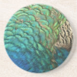 Peacock Feathers I Colorful Abstract Nature Design Drink Coaster