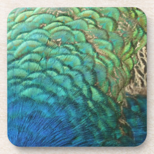 Peacock Feathers I Colorful Abstract Nature Design Drink Coaster