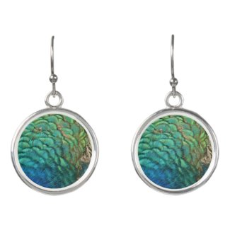 Peacock Feathers I Colorful Abstract Nature Design Earrings