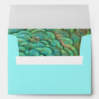 Peacock Feathers I Colorful Abstract Nature Design Envelope