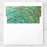 Peacock Feathers I Colorful Abstract Nature Design Envelope Liner