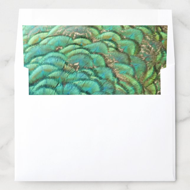 Peacock Feathers I Colorful Abstract Nature Design Envelope Liner (In Envelope)
