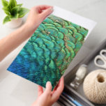 Peacock Feathers I Colorful Abstract Nature Design Envelope Mailers