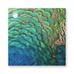 Peacock Feathers I Colorful Abstract Nature Design Favor Tags