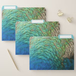 Peacock Feathers I Colorful Abstract Nature Design File Folder