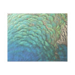 Peacock Feathers I Colorful Abstract Nature Design Gallery Wrap