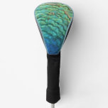 Peacock Feathers I Colorful Abstract Nature Design Golf Head Cover