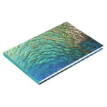 Peacock Feathers I Colorful Abstract Nature Design Guest Book