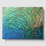 Peacock Feathers I Colorful Abstract Nature Design Guest Book