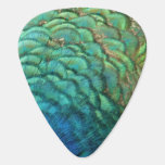 Peacock Feathers I Colorful Abstract Nature Design Guitar Pick