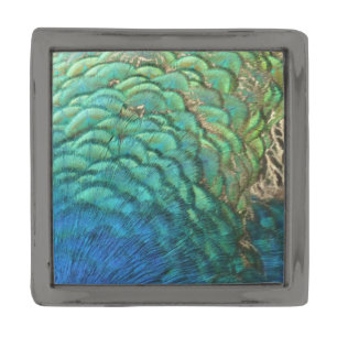 Peacock Feathers I Colorful Abstract Nature Design Gunmetal Finish Lapel Pin