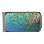 Peacock Feathers I Colorful Abstract Nature Design Gunmetal Finish Money Clip