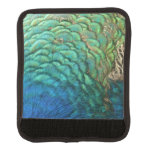 Peacock Feathers I Colorful Abstract Nature Design Handle Wrap