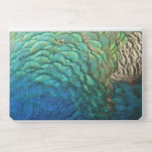 Peacock Feathers I Colorful Abstract Nature Design HP Laptop Skin