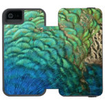 Peacock Feathers I Colorful Abstract Nature Design iPhone SE/5/5s Wallet Case