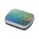 Peacock Feathers I Colorful Abstract Nature Design Jelly Belly Tin