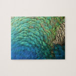 Peacock Feathers I Colorful Abstract Nature Design Jigsaw Puzzle