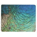 Peacock Feathers I Colorful Abstract Nature Design Journal