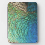 Peacock Feathers I Colorful Abstract Nature Design Kindle Cover