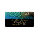 Peacock Feathers I Colorful Abstract Nature Design Label