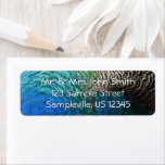 Peacock Feathers I Colorful Abstract Nature Design Label