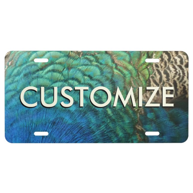 Peacock Feathers I Colorful Abstract Nature Design License Plate (Front)