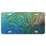 Peacock Feathers I Colorful Abstract Nature Design License Plate
