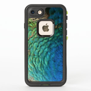 Peacock Feathers I Colorful Abstract Nature Design