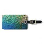 Peacock Feathers I Colorful Abstract Nature Design Luggage Tag