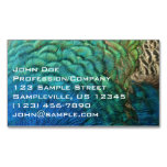 Peacock Feathers I Colorful Abstract Nature Design Magnetic Business Card