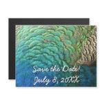 Peacock Feathers I Colorful Abstract Nature Design Magnetic Invitation