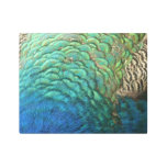 Peacock Feathers I Colorful Abstract Nature Design Metal Print