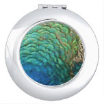Peacock Feathers I Colorful Abstract Nature Design Mirror For Makeup