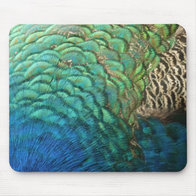 Peacock Feathers I Colorful Abstract Nature Design Mouse Pad (Front)